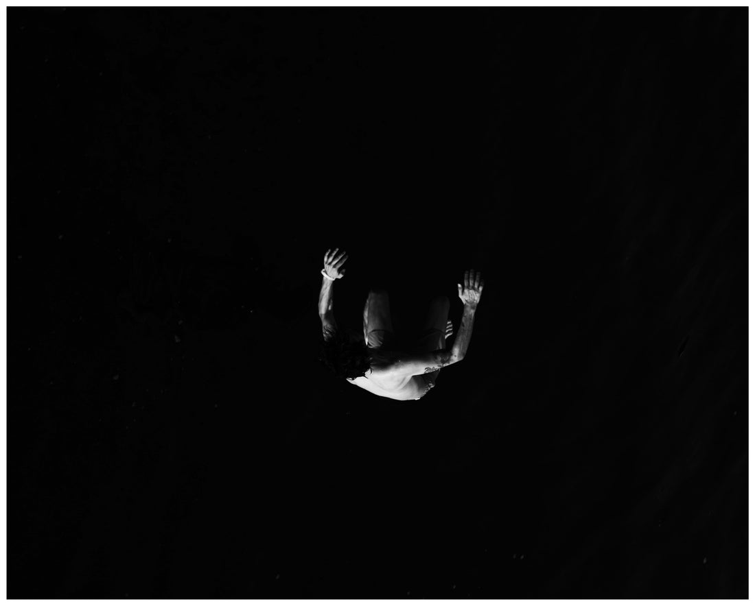 Exhibition of Blackbird