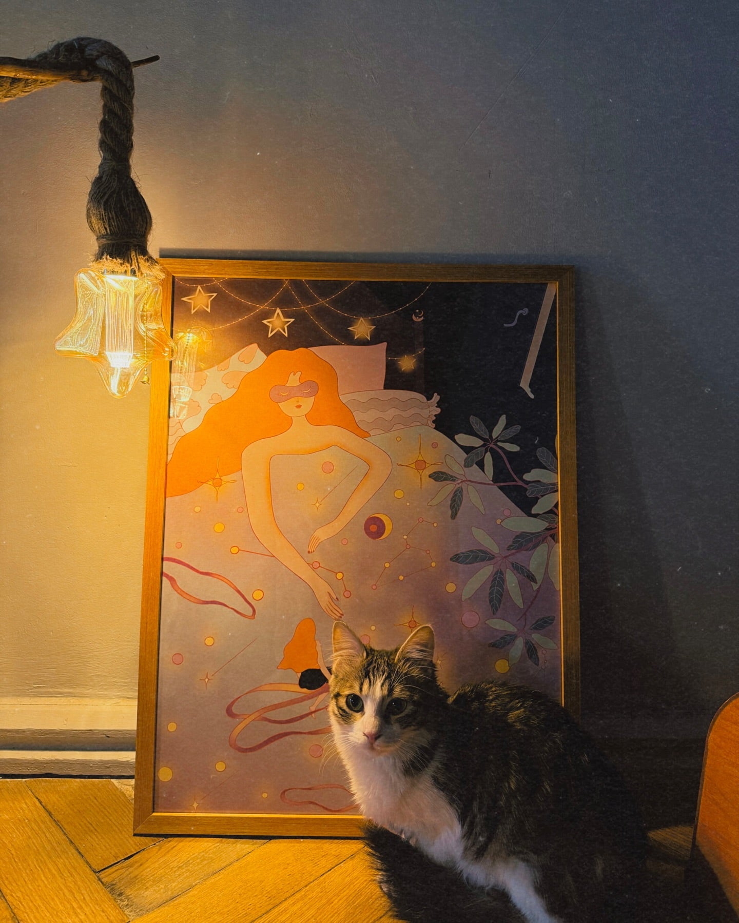 ვარსკვლავებიანი ღამე