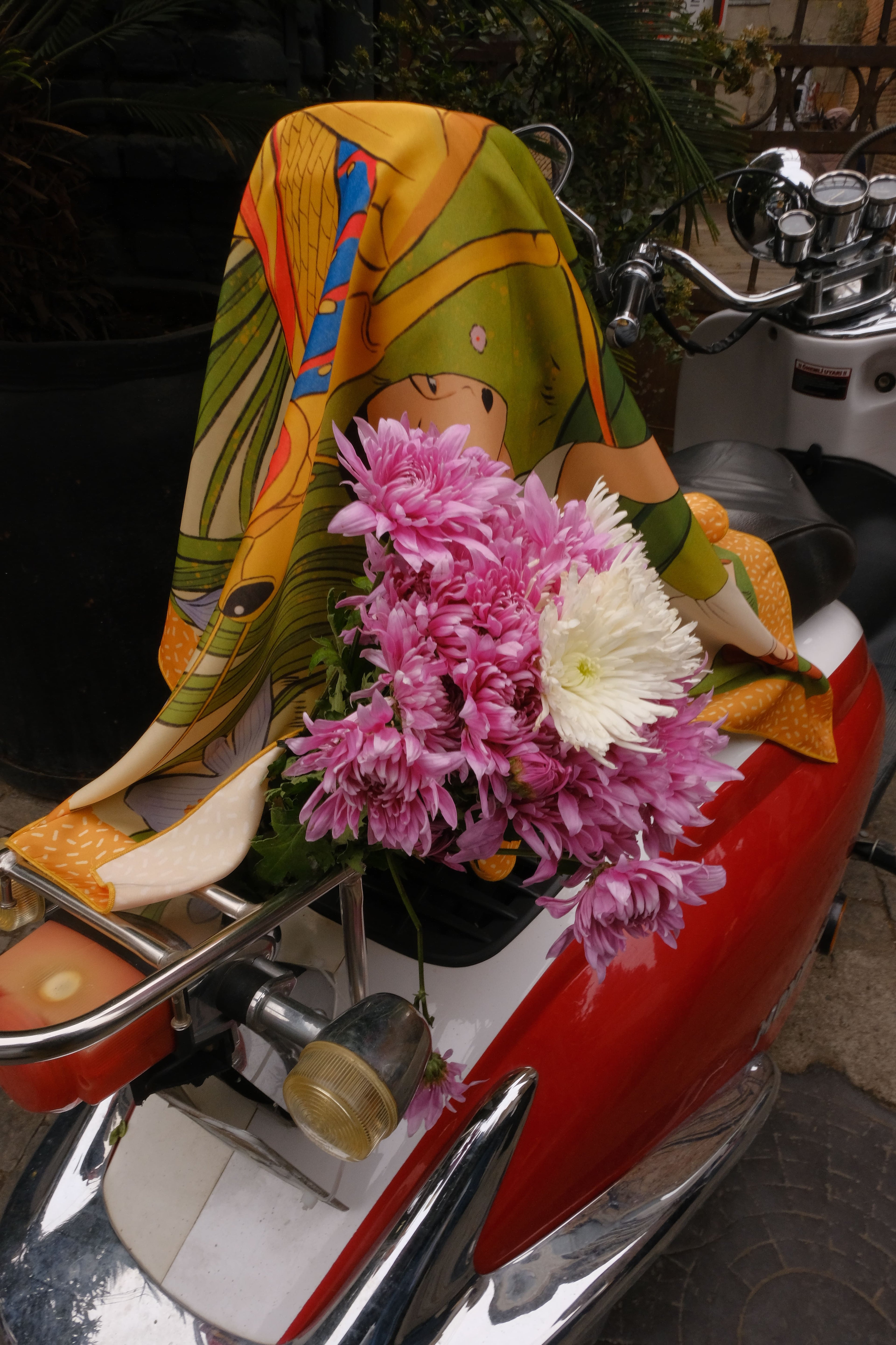 ბუნებაში