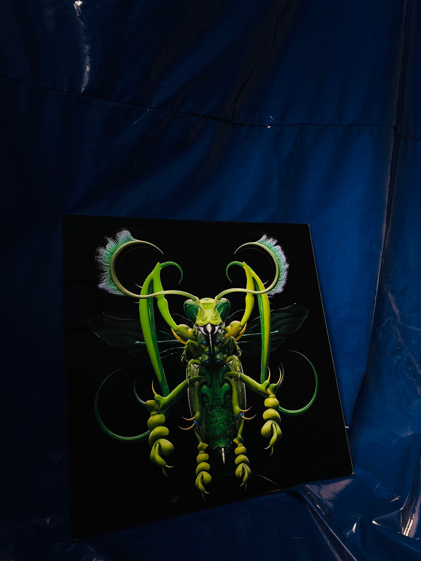 Bug #4