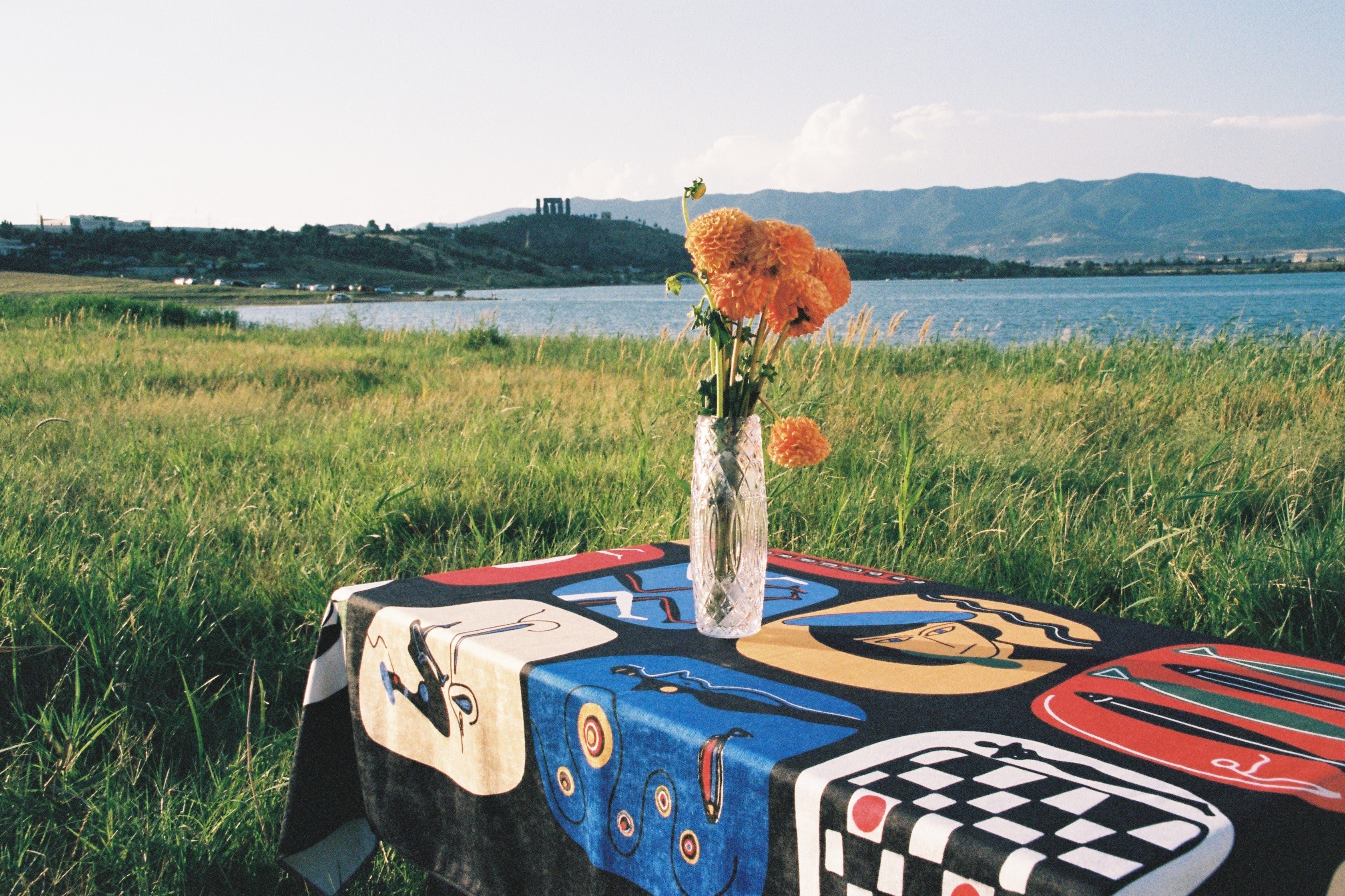 Colorful checkered tablecloth with a vase of flowers on a grassy field by a lake.