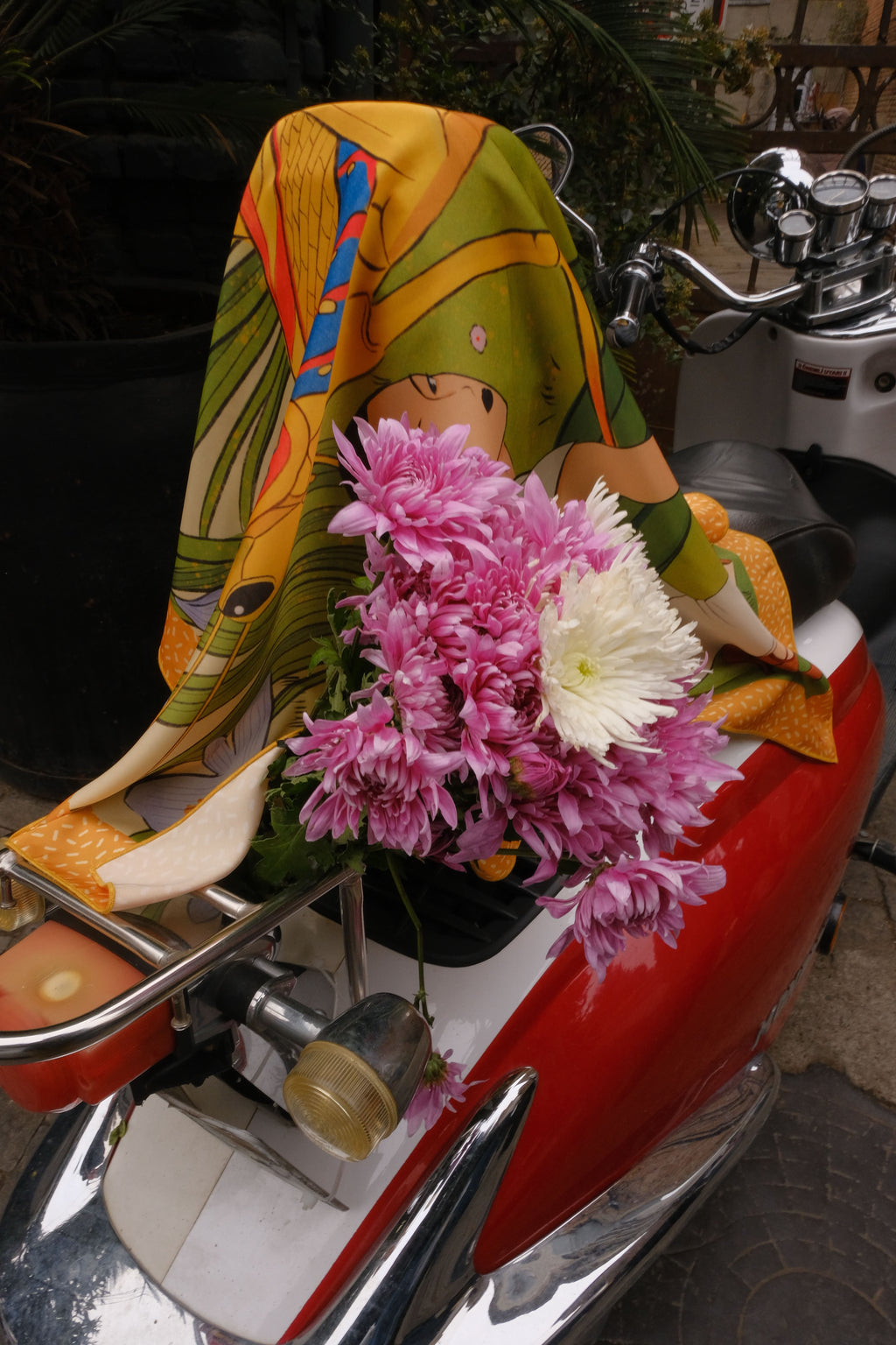 ბუნებაში