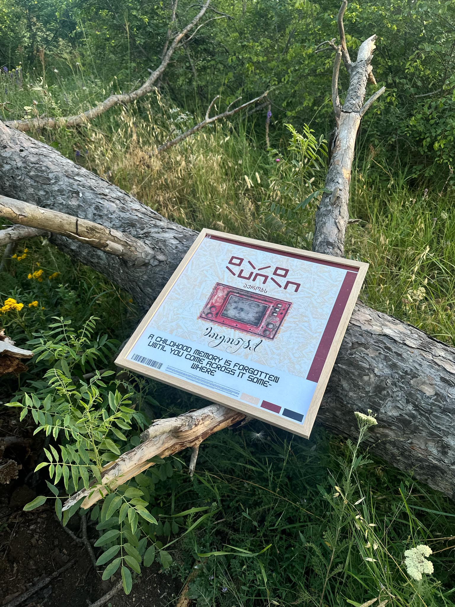 poster into the nature laying on wood