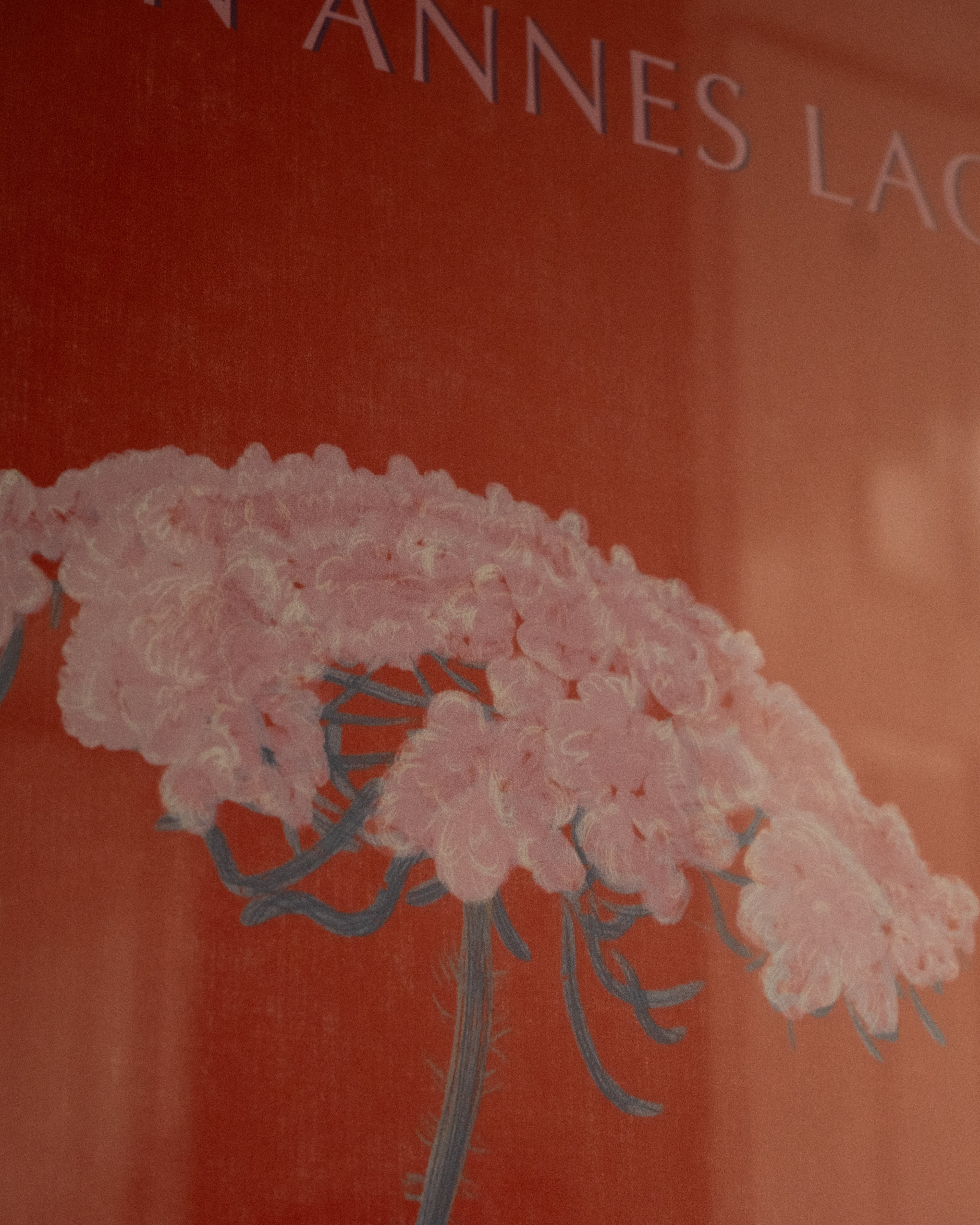 detail of poster "queen annes lace"