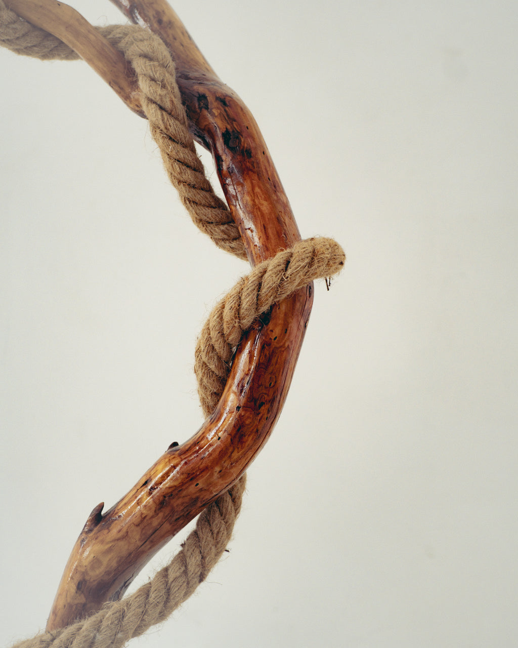 Close-up of a rope tied around a wooden branch on a light gray background