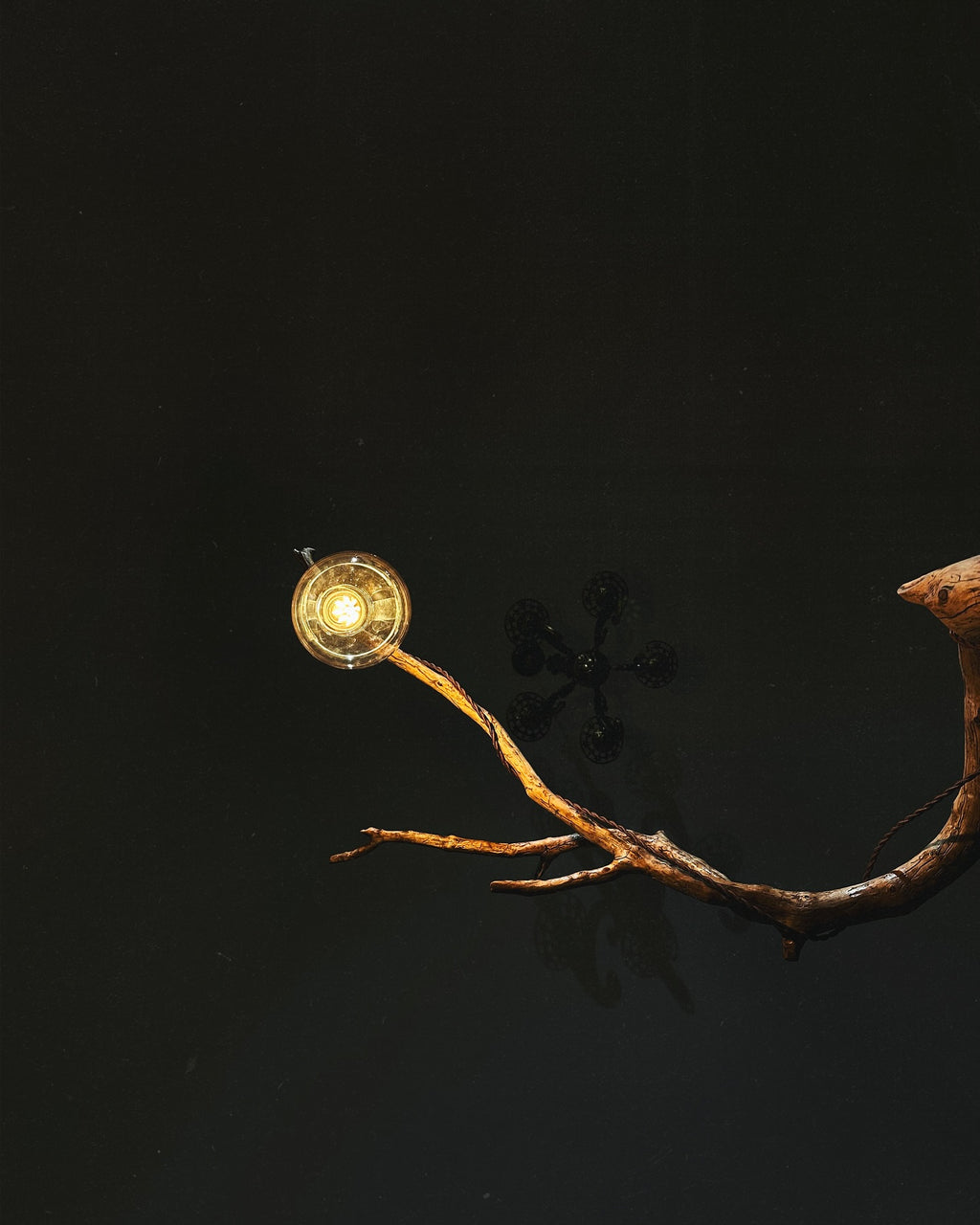 bulb in the dark, with wood detail