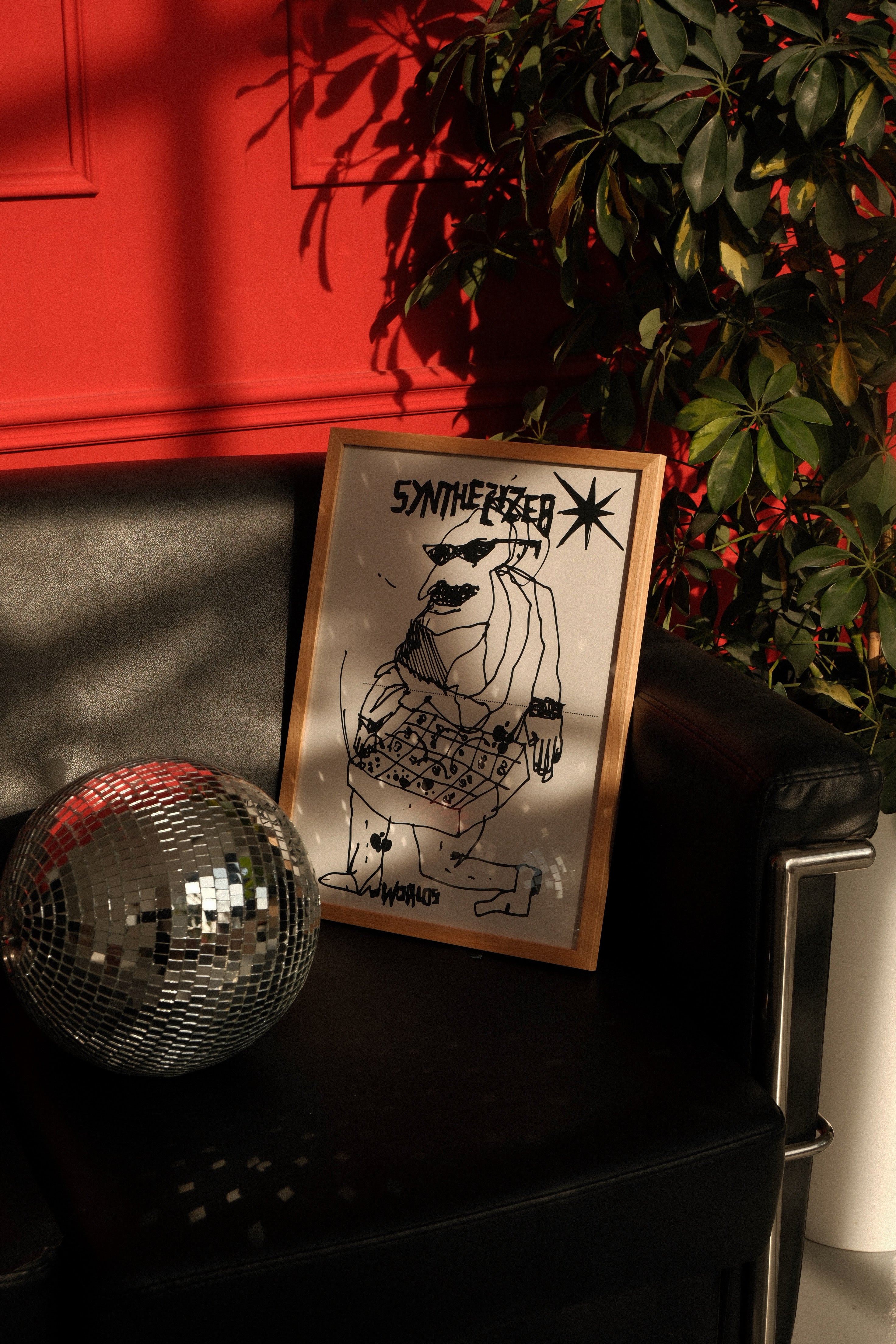 Framed artwork with a disco ball and plant in the background