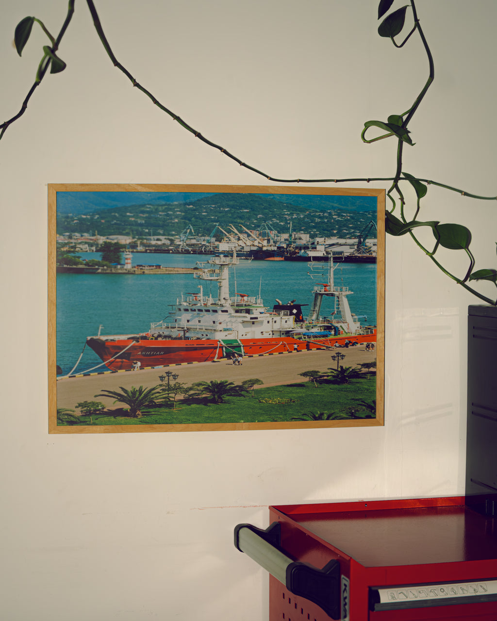 Framed artwork of a ship on a wall with a plant branch in the foreground.