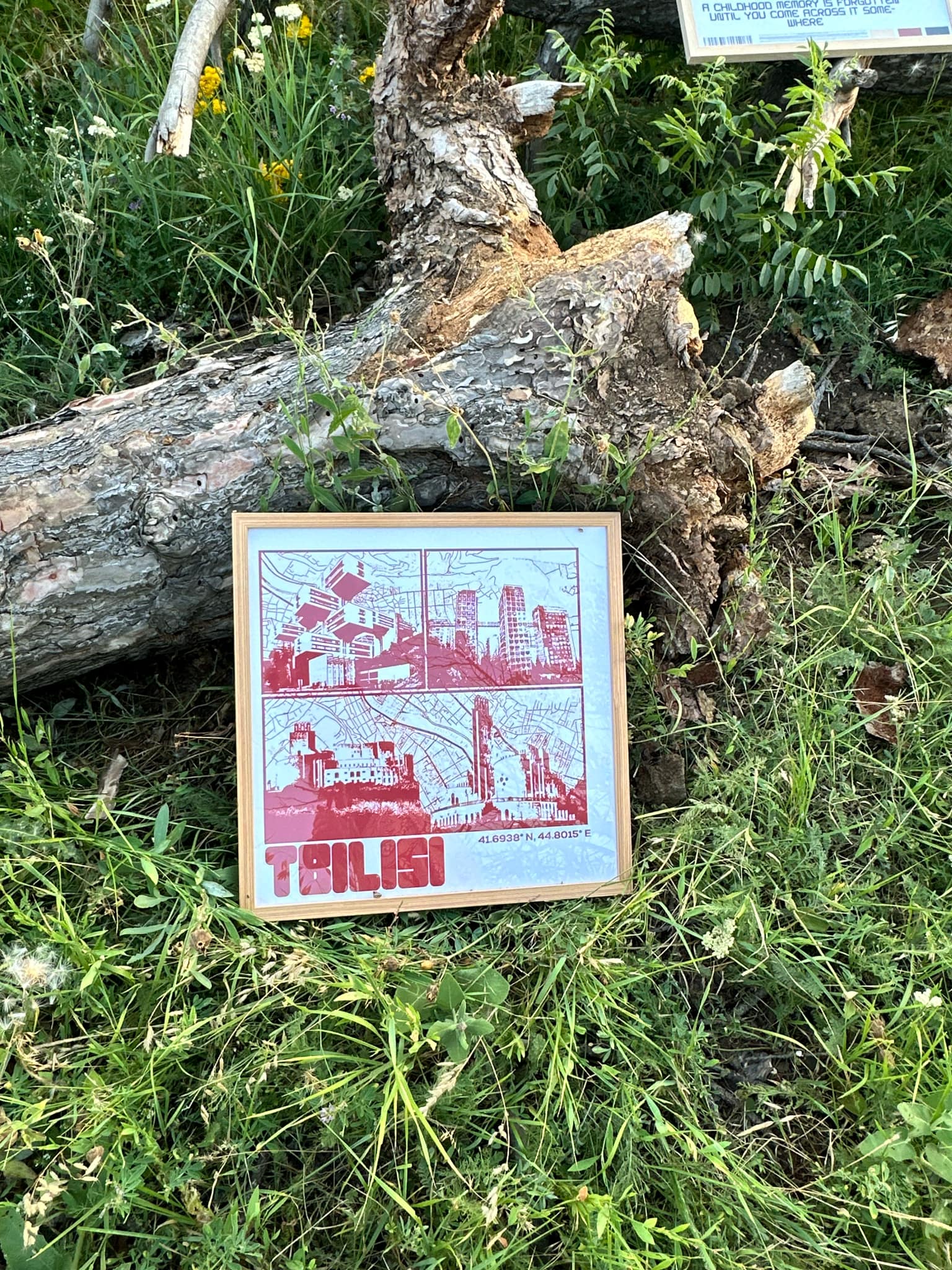 poster with tbilisi's architectural pieces laying in forest