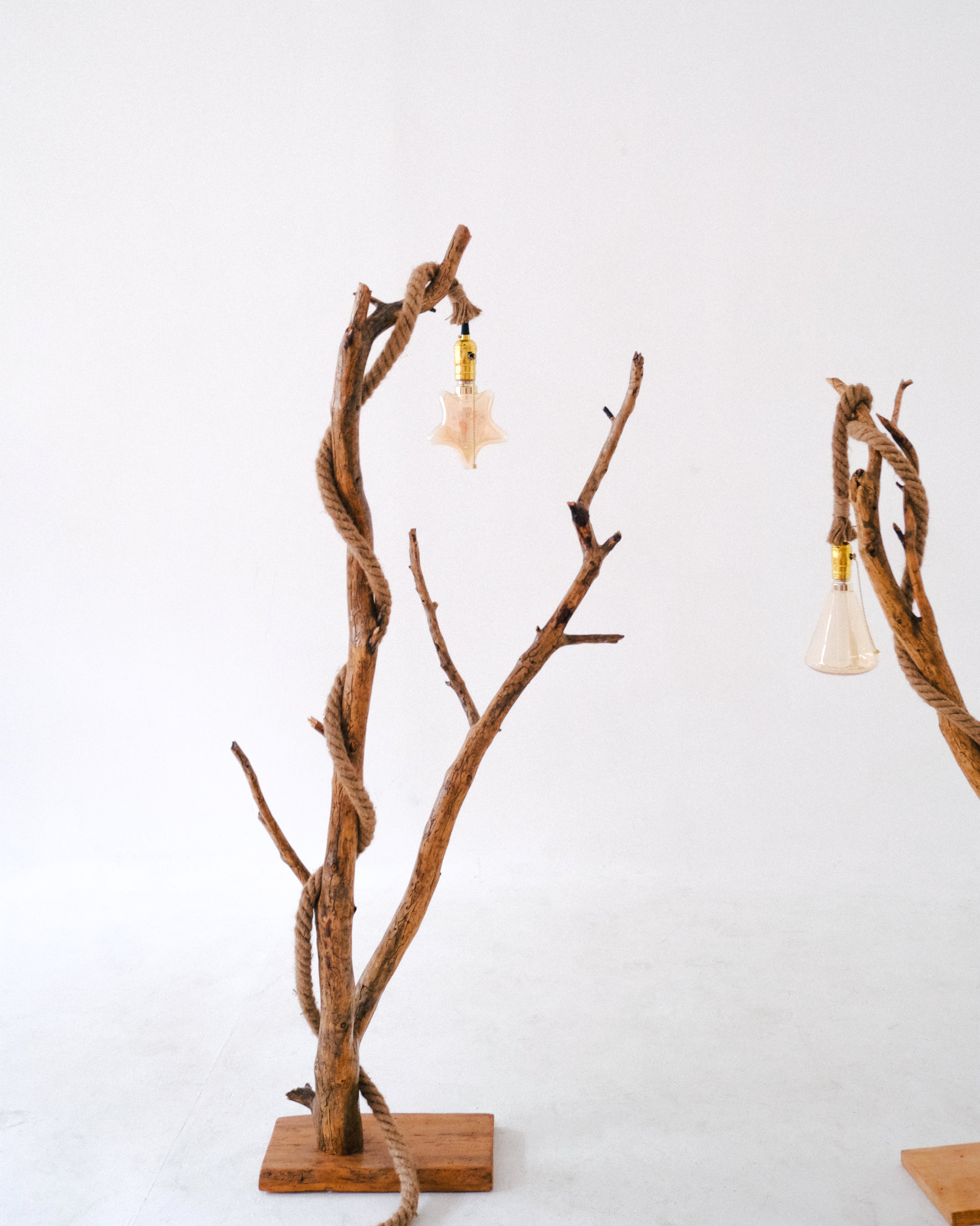 Decorative lamp by DAE, made from branches with light bulbs on a white background