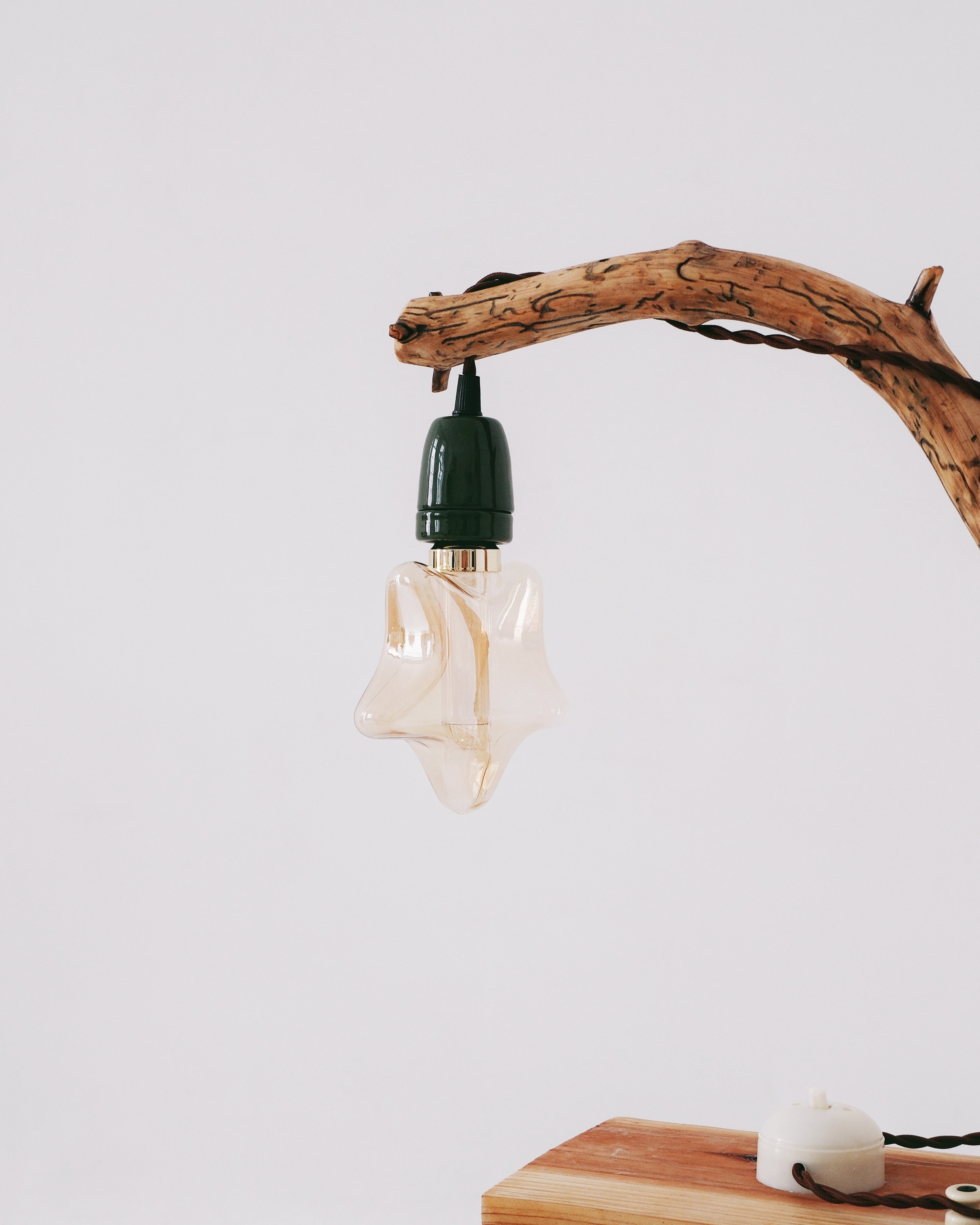 Decorative light fixture with a branch on a white background