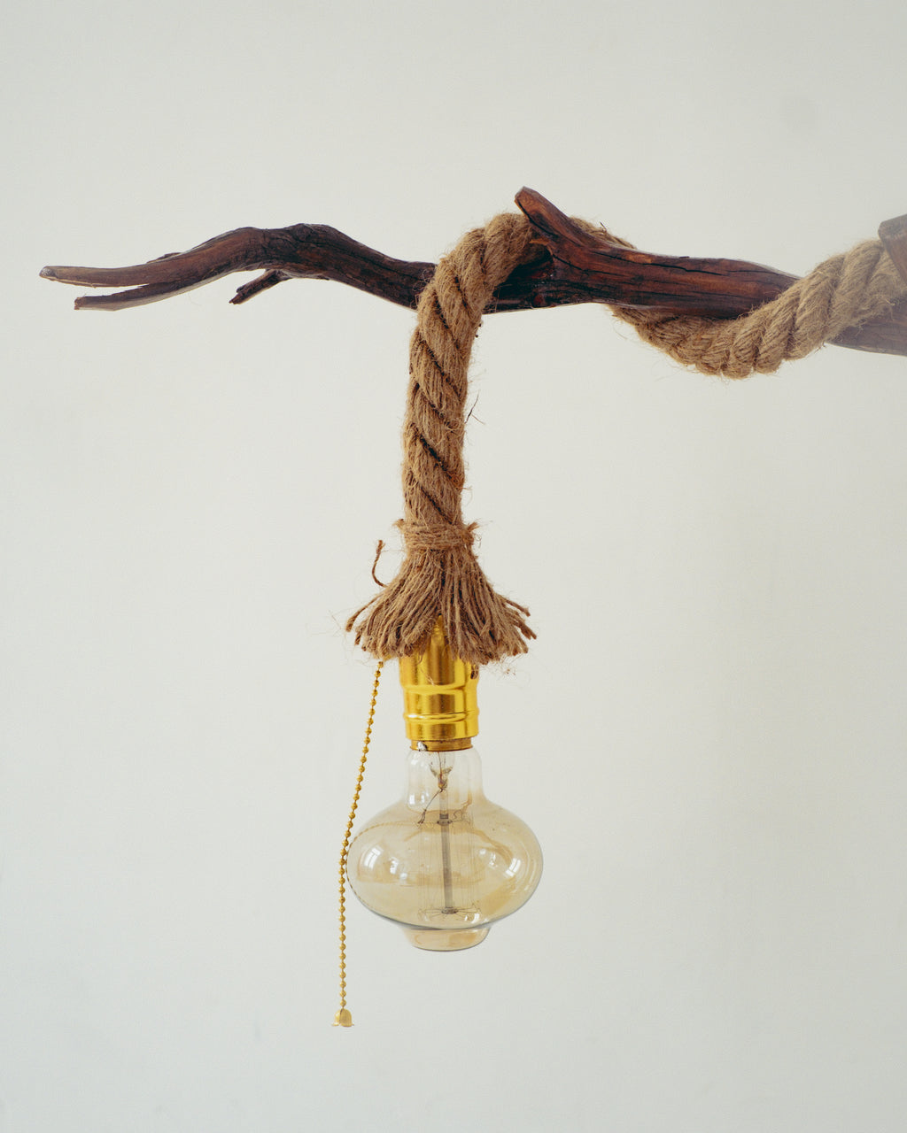 Decorative light bulb hanging from a branch with rope on a plain background