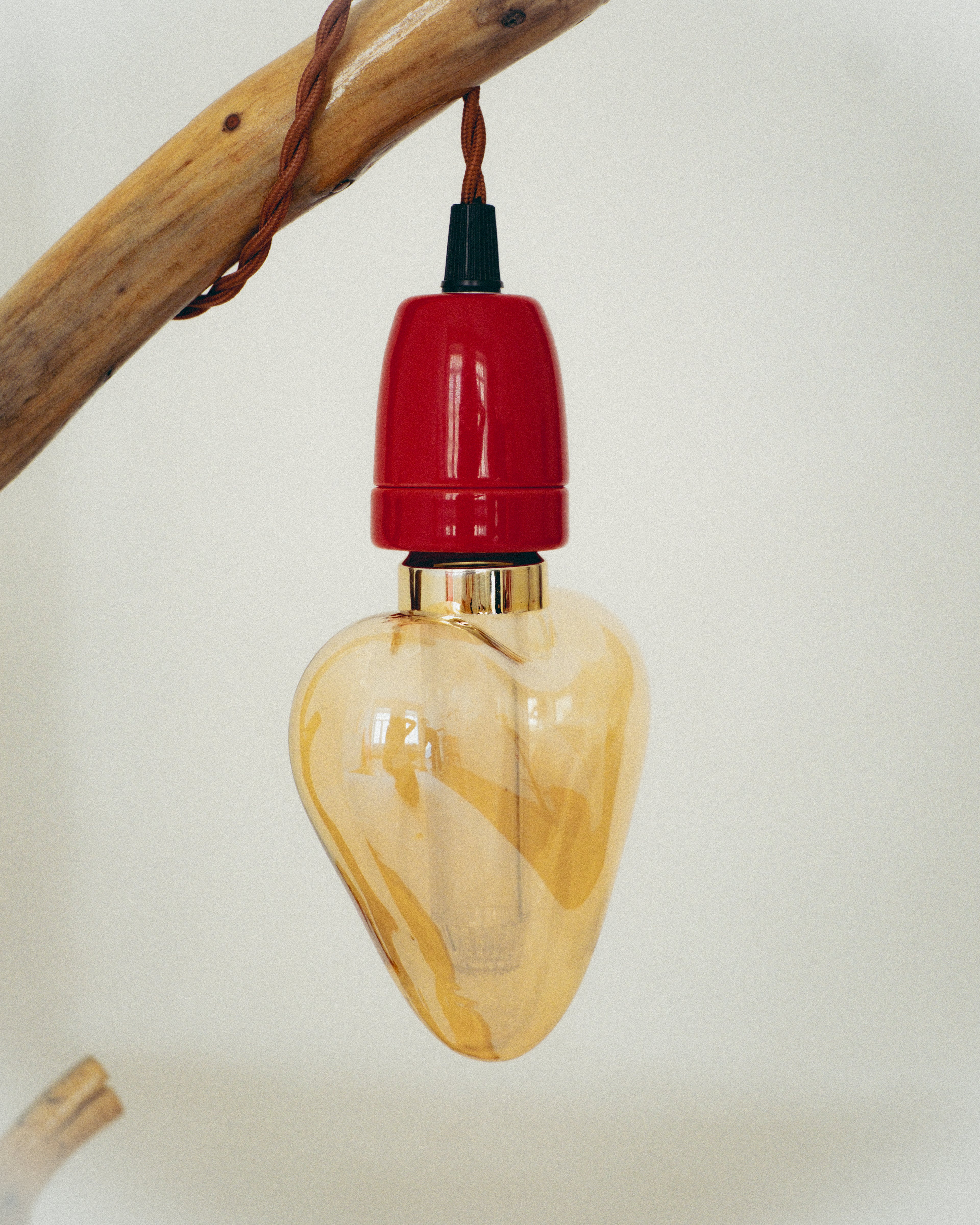 Vintage-style light bulb with a red base hanging from a branch against a white background